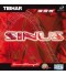 Sinus