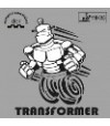 Transformer Anti
