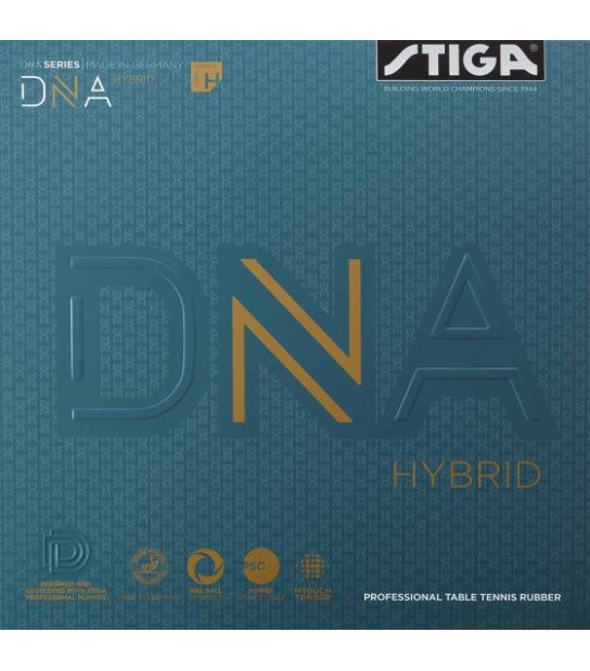 DNA HYBRID H