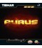 Aurus